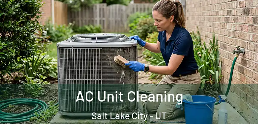 AC Unit Cleaning Salt Lake City - UT